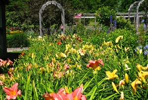 Cider Hill Gardens & Art Gallery—Sarah & Gary Milek